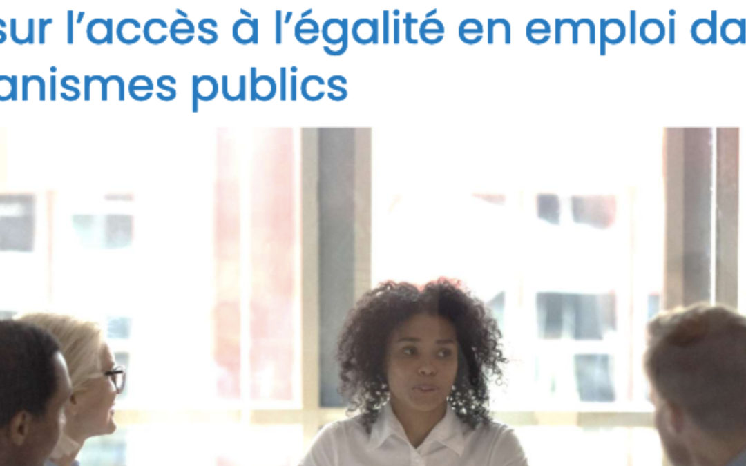 Rapport annuel sur les minorités visibles